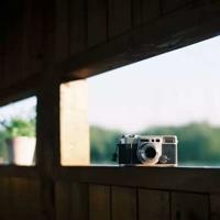 小海马找朋友读后感合计