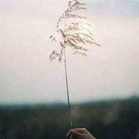 航拍中国新疆篇观后感选录