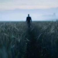 莱博维茨的赞歌观后感整理