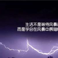 小鸭逃生记观后感二年级精选