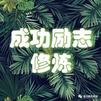 《魔幻夏令营》读后感汇聚