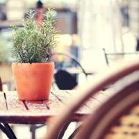 朱元璋文章读后感集合