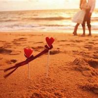 恐龙百科读后感周诠合计