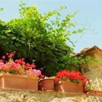 初中优秀作文一百字读后感合计