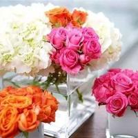 西海岸看花开花落读后感合计