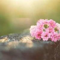 纪录片山河岁月的观后感精练