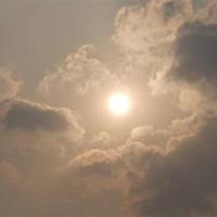 体育史读后感1200锦集