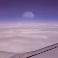 微电影交易观后感整理