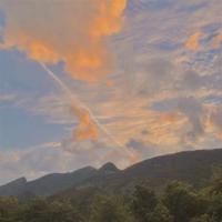 碟中谍5的观后感英文集锦