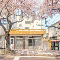 一年级的宝贝猪读后感汇合