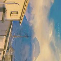 一份特殊的爱读后感细选