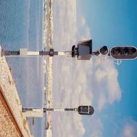 放虎归山读后感一年级汇总