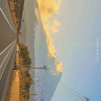 妙点子读后感300字左右细选