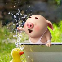 狸猫变身术读后感整理