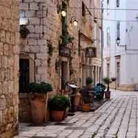 爆米花的眼泪郁雨君读后感整理