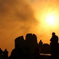 三叶草读后感500汇合