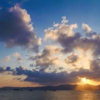 摇滚藏獒的观后感合集