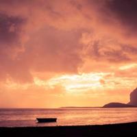 病疫防控思政大课观后感聚集