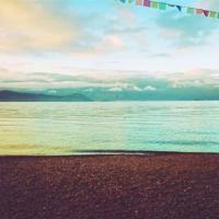 狼的秘密读后感400字合计