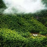 宪法宣传报告会观后感精练