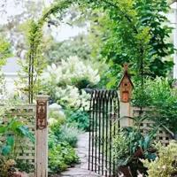 电影地道战观后感公开课精练