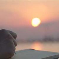 八年级诚信教育篇读后感总汇