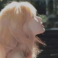 萌宠大世界的读后感精选