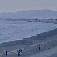 百分百女孩读后感集合