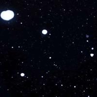 有关找春天观后感汇聚