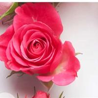 一带一路战略胡正塬读后感集合