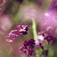 邯郸市龙湖公园观后感总汇