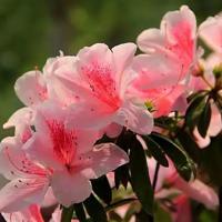 心理微电影观后感总汇