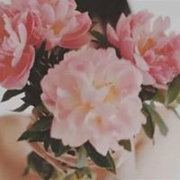 万事师表熊浩观后感总汇