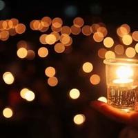 岩石与花朵观后感细选