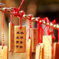 英雄小八路观后感细选