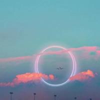 王冠的秘密读后感精练