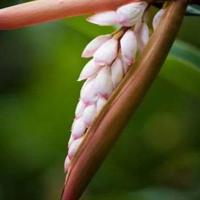 会飞的鱼读后感400聚集