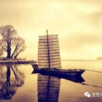 神秘小脚丫读后感摘录