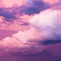 刘健屏眼睛的读后感汇编