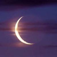 小白兔变成小黑兔的读后感细选