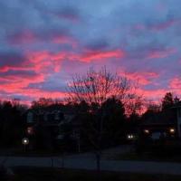 舞蹈读唐诗观后感锦集