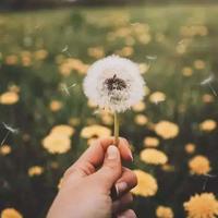 小荷风采观后感100字左汇编