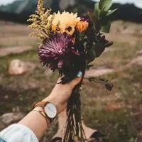 魅力曲棍球世界观后感选录