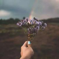 家有好儿女读后感100字汇总