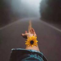 自信心读后感500字作文锦集