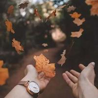 飞虎队电影观后感100字聚集