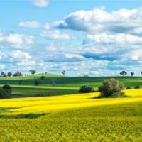 豆豆读后感100字合集