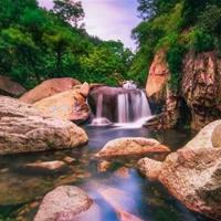 升学观后感500字左右集锦