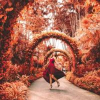 电视剧福贵观后感新浪博客汇集