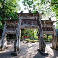 一代名医张孝骞观后感收集